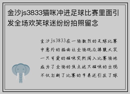 金沙js3833猫咪冲进足球比赛里面引发全场欢笑球迷纷纷拍照留念